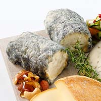 サント・マッシュ