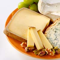 コンテ・エスティーブAOP 16ヶ月以上