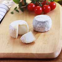 クロタン・ド・シャヴィニョルAOP アントル・ドゥ