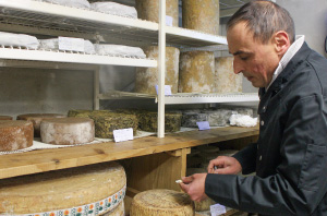 アレオスイメージ