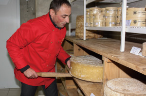 アレオスイメージ