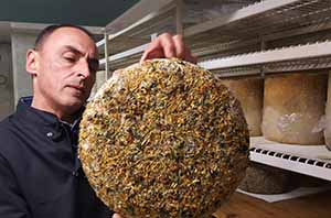 アレオスイメージ