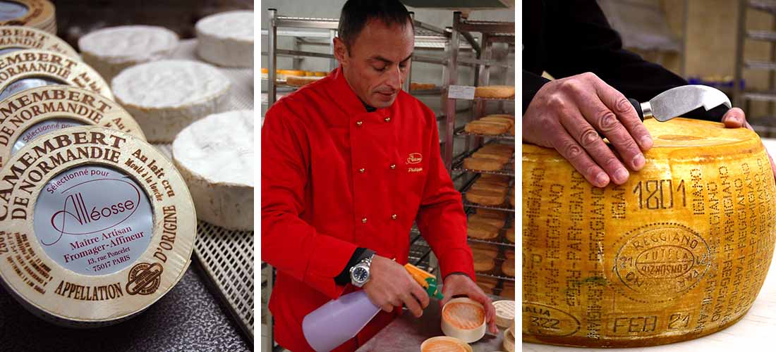 チーズ３種イメージ