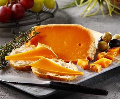 ミモレット22ヶ月