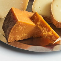 レスター12ヵ月